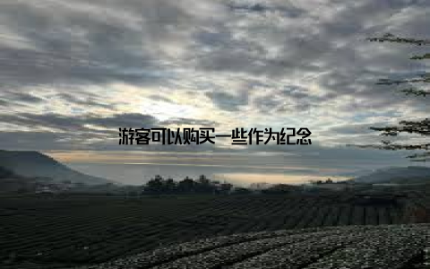 游客可以购买一些作为纪念