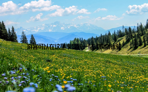 游客可以在这里享受到一站式购物体验