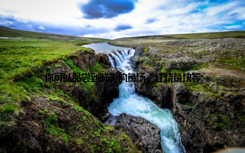 你可以品尝到鲜美的鱼汤、红烧鱼块等