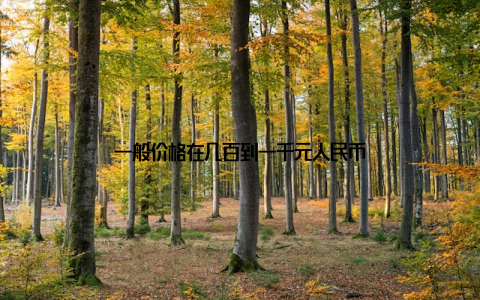 一般价格在几百到一千元人民币