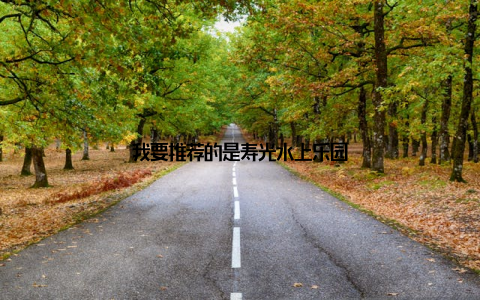 我要推荐的是寿光水上乐园