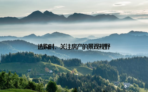 选购时, 关注房产的景观视野