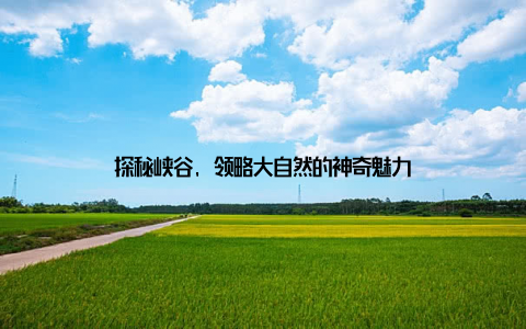 探秘峡谷, 领略大自然的神奇魅力