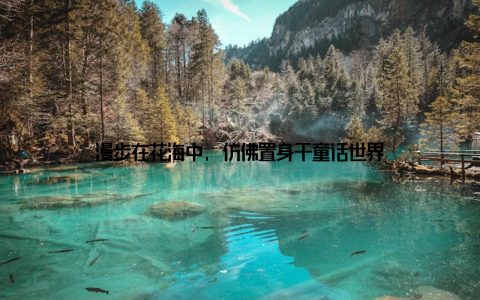 漫步在花海中, 仿佛置身于童话世界