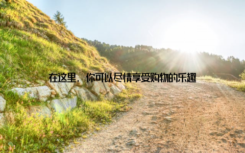 在这里, 你可以尽情享受购物的乐趣