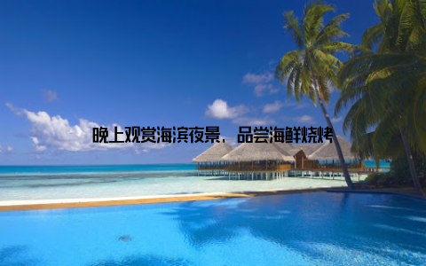 晚上观赏海滨夜景, 品尝海鲜烧烤