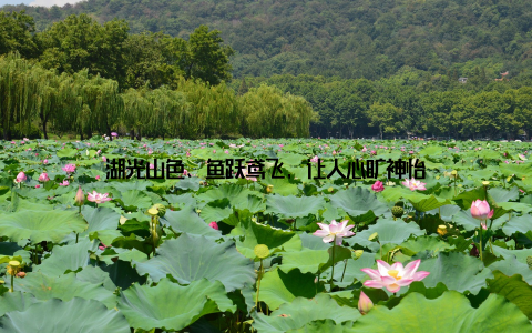 湖光山色、鱼跃鸢飞, 让人心旷神怡