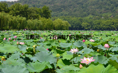 北戴河, 一个充满魅力的海滨城市