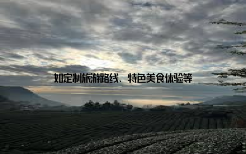 如定制旅游路线、特色美食体验等