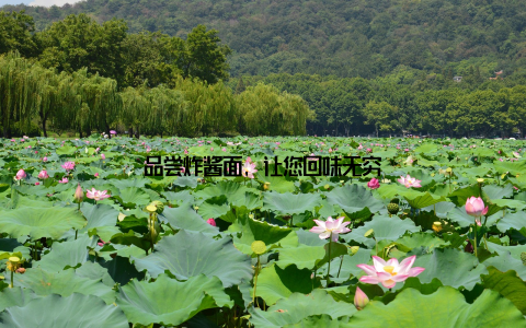 品尝炸酱面, 让您回味无穷