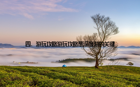 四、游玩攻略游玩攻略是深度游的关键