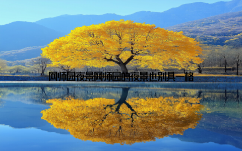 网师园夜景网师园的夜景也别具一格