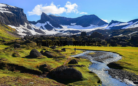 轮渡班次较多, 票价约40元