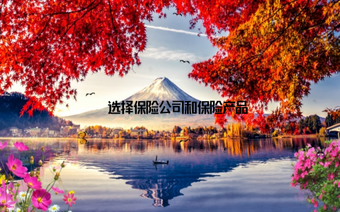 – 选择保险公司和保险产品