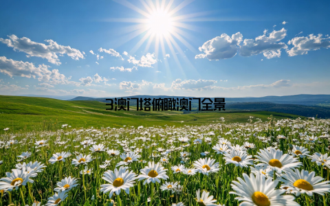 3澳门塔俯瞰澳门全景