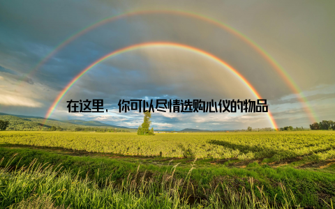 在这里, 你可以尽情选购心仪的物品